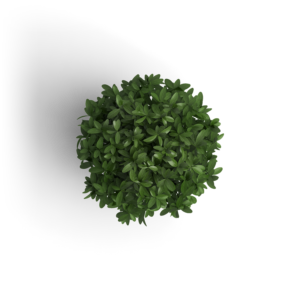 Object Plant