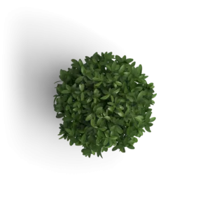 Object Plant